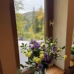 Alpejski Dwor Guest house 3*