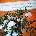 Guest house Alpejski Dwor