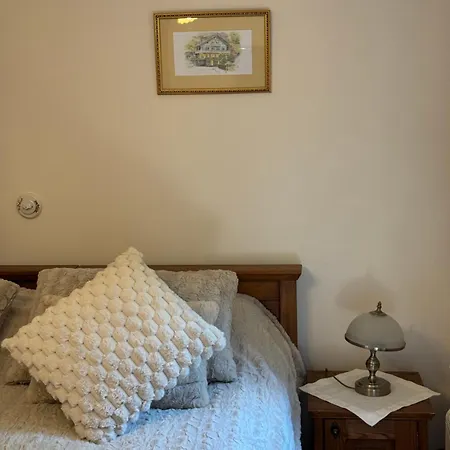 ゲストハウス Alpejski Dwor