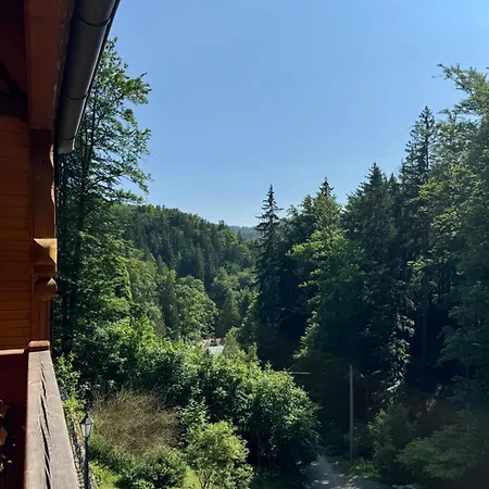 Alpejski Dwór