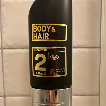 Alpejski Dwor ゲストハウス