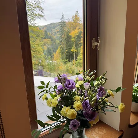 Alpejski Dwor Pensionat *