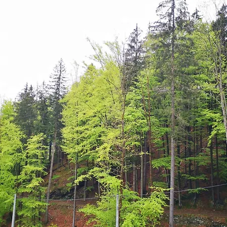 Gasthof Alpejski Dwor Wölfelsgrund