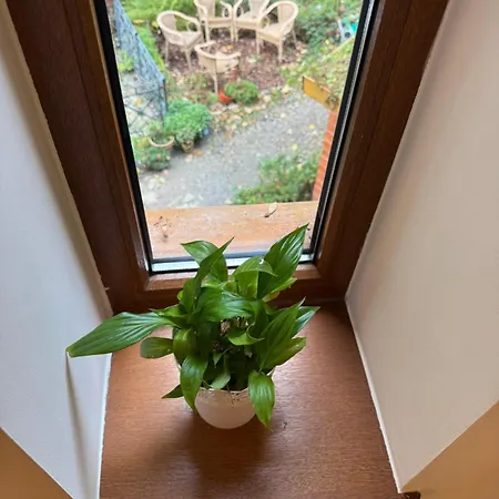 Alpejski Dwor Gasthof