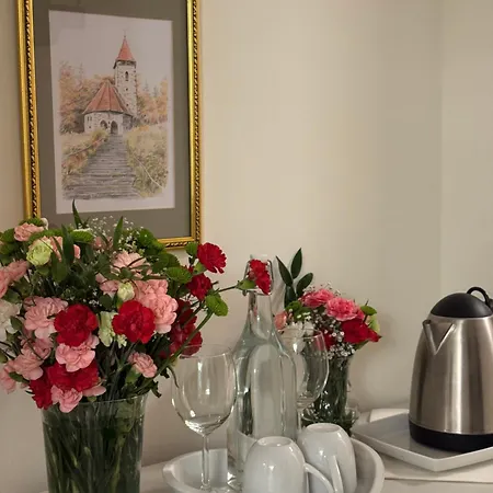 Alpejski Dwor 3* ミエンジグジェ