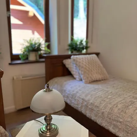 ゲストハウス Alpejski Dwor ミエンジグジェ