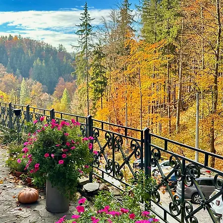 Гостевой дом Alpejski Dwor 3*