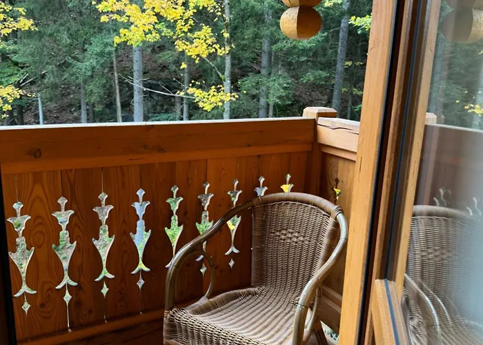 Alpejski Dwor Affittacamere Miedzygorze