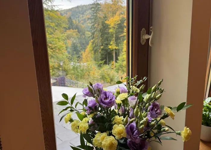 Alpejski Dwor Гостевой дом 3*