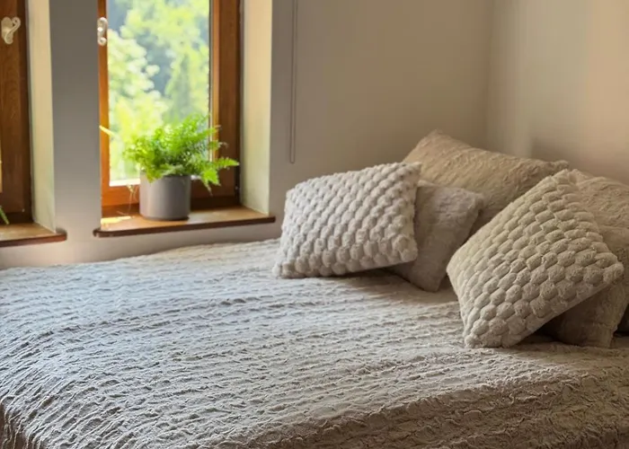 Alpejski Dwor 3* Мендзыгуже