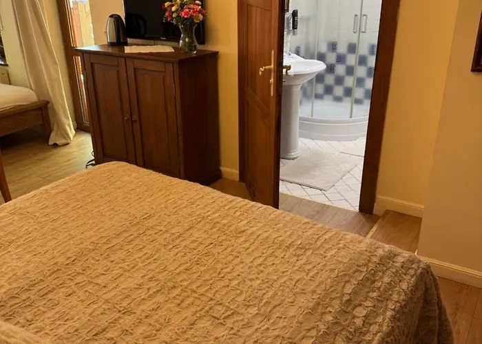 Alpejski Dwor Гостевой дом Мендзыгуже