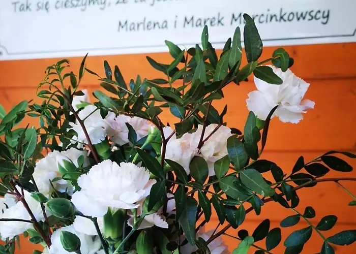 Affittacamere Alpejski Dwor