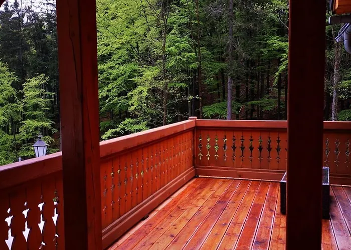 Alpejski Dwor Гостевой дом Мендзыгуже