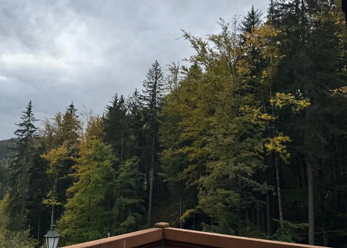 Alpejski Dwor 3* Miedzygorze