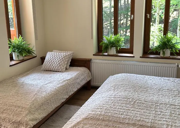 Alpejski Dwor Miedzygorze