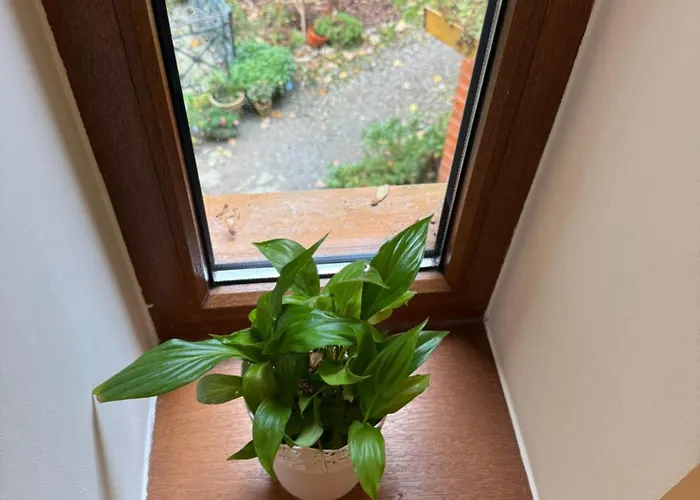 Alpejski Dwor Гостевой дом