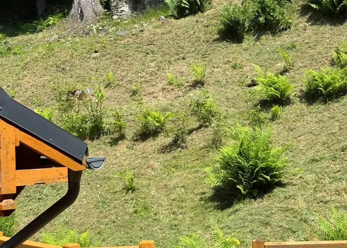 Alpejski Dwor Miedzygorze