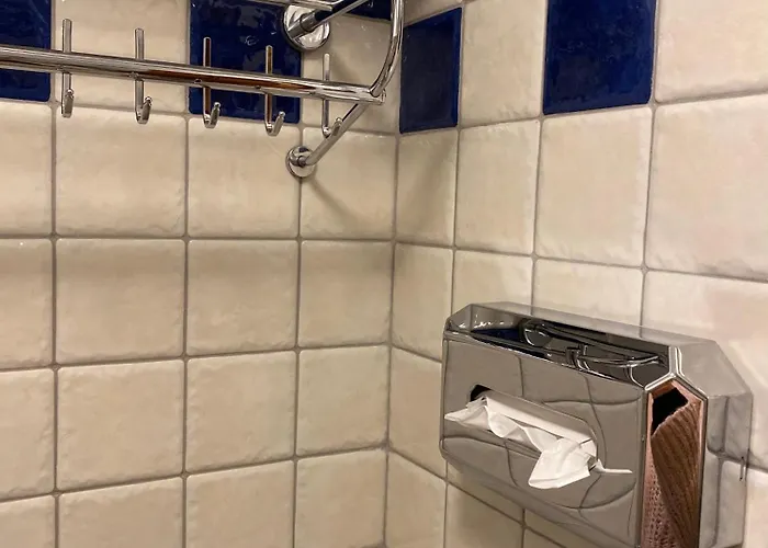 Гостевой дом Alpejski Dwor Мендзыгуже