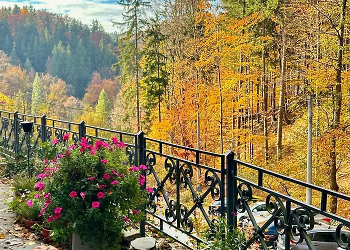 Affittacamere Alpejski Dwor 3*