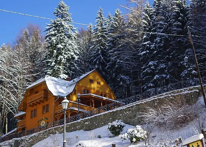 Alpejski Dwor Гостевой дом 3*